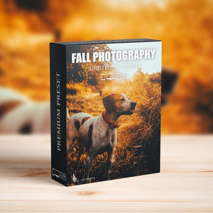 [风光LR预设]梦幻秋季电影效果LR预设包Autumn Fall Lightroom Presets