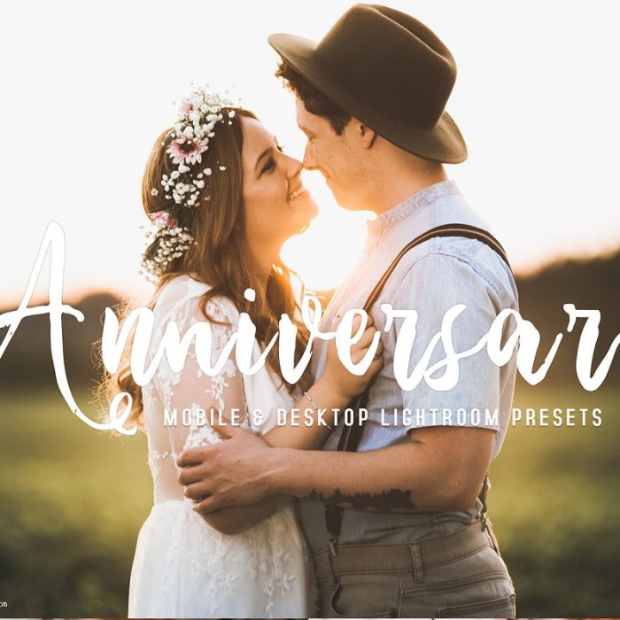 [人像LR预设]家庭生活人像Lightroom预设+手机版LR预设 Anniversary Lightroom