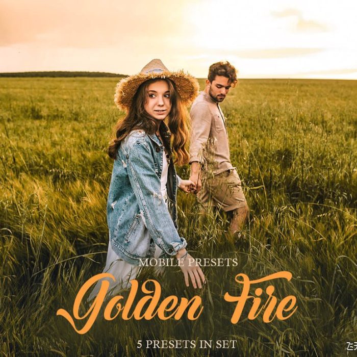 [人像LR预设]黄金时段暖色调人像LR预设/手机LR预设 Golden Fire Mobile Presets