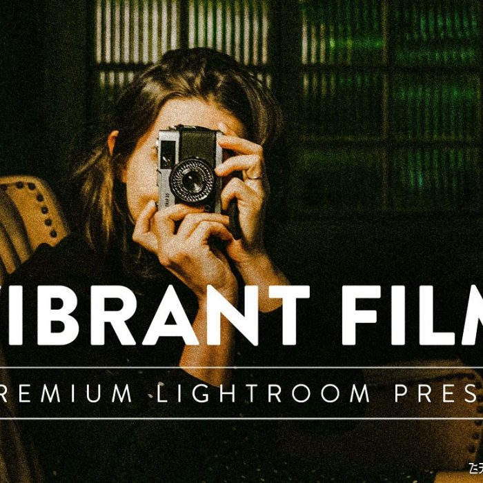 [胶片LR预设]专业复古电影颗粒胶片LR预设/APP胶片滤镜FILM Pro Lightroom Preset