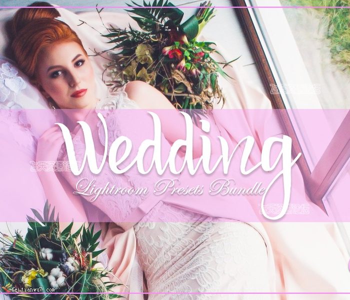 [婚礼LR预设]620组婚纱婚礼Lightroom预设合集 Wedding Lightroom Presets