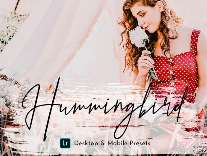 [婚礼LR预设]清新复古婚礼人像后期调色Lightroom预设 HummingBird Lightroom Presets Pack