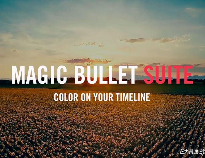 [AE插件]红巨星调色套装 Red Giant Magic Bullet Suite V2024.0.0 Win中文破解版