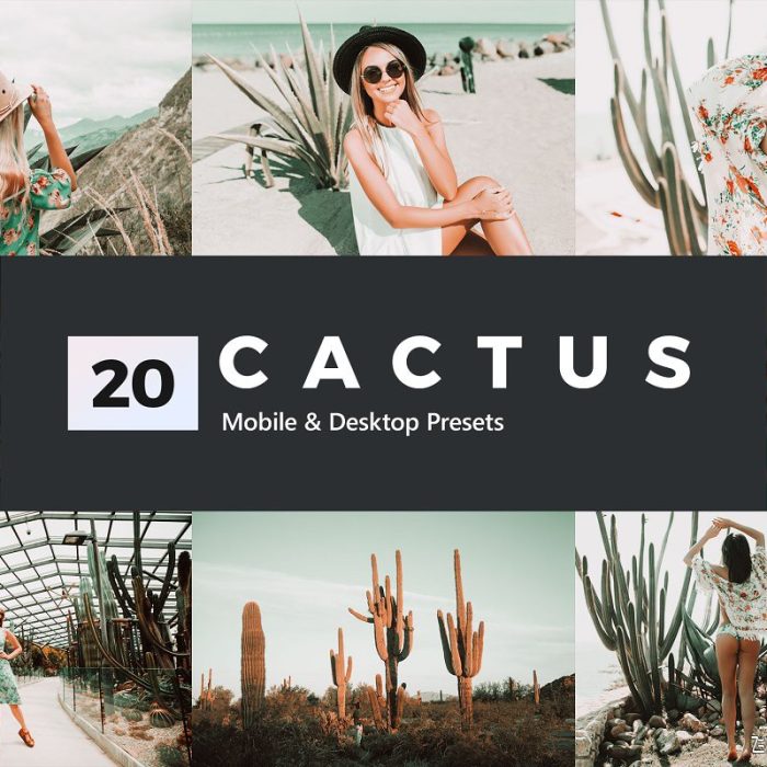 [人像LR预设]喜怒无常植物绿胶片LR预设/视频LUT预设Cactus Lightroom Presets