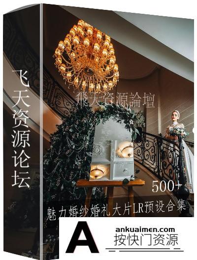 [婚礼LR预设]500+魅力婚纱婚礼大片Lightroom预设合集