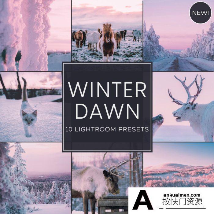 [风光LR预设]神秘梦幻自然摄影后期LR调色预设 Woodland – Winter Dawn Presets