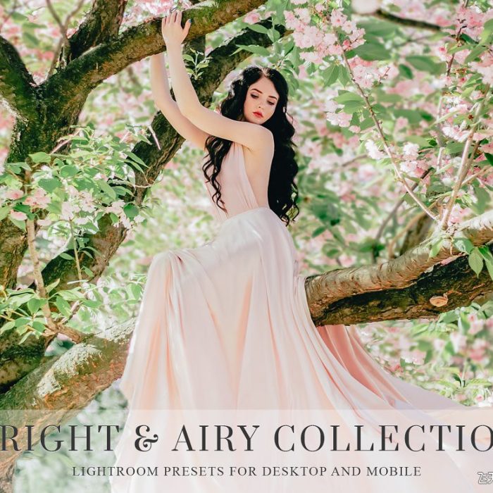 [人像LR预设]高端明亮通透艺术人像Lightroom预设与手机APP滤镜 Light & Airy Lightroom presets