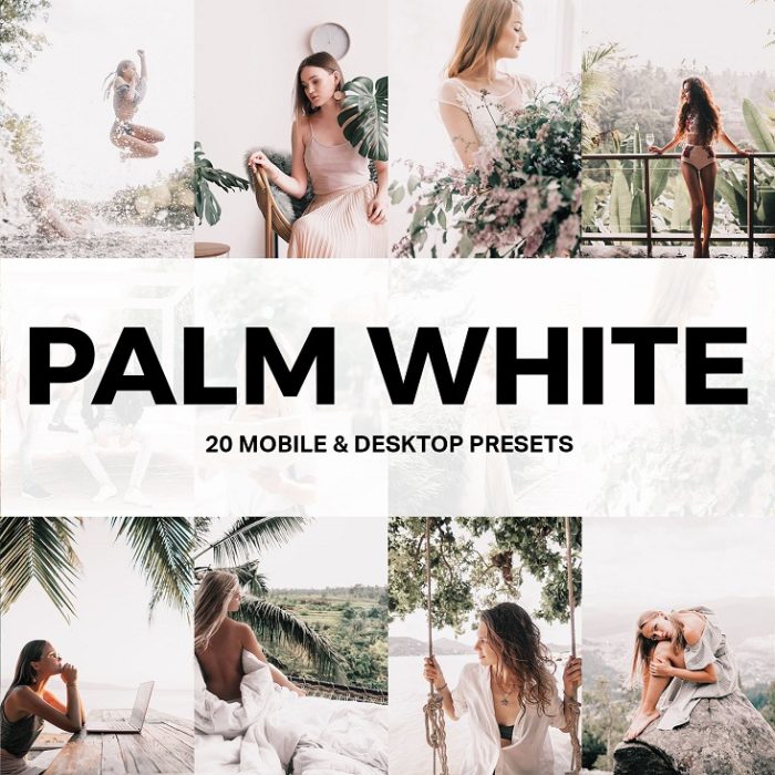 [胶片LR预设]旅拍棕白电影胶片LR预设/LUT预设 Palm White Lightroom Presets+LUTs