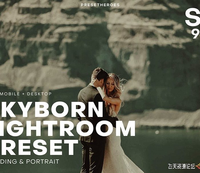 [婚礼LR预设]高品质婚礼人像电影胶片LR预设+手机APP预设+飞思预设-各5款