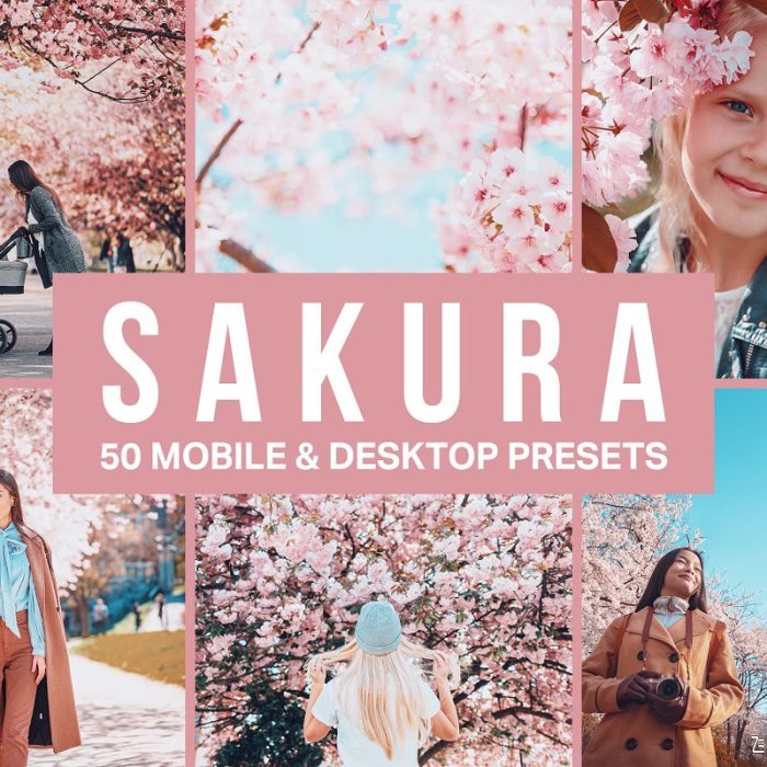 日系樱花日本旅拍LR预设+3DLUT预设 Sakura Lightroom Presets and LUTs