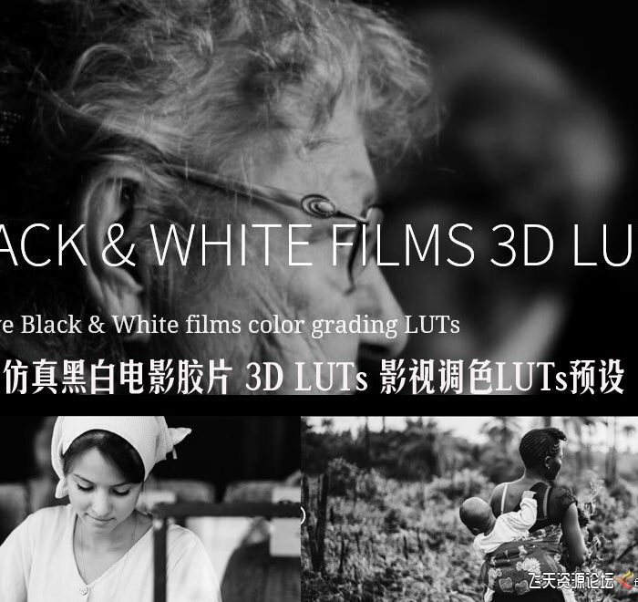 16种仿真黑白电影胶片 3D LUTs 影视调色LUTs预设