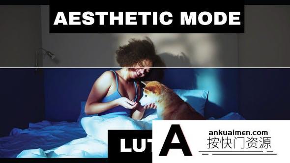 高冷色调电影美学视频调色LUT预设 LUTs Aesthetic,达芬奇,PR调色
