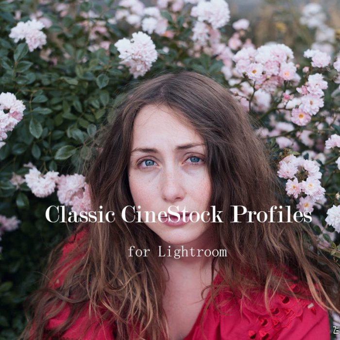 [胶片LR预设]The Classic Presets 经典胶卷Lightroom配置文件 Classic CineStock Profiles