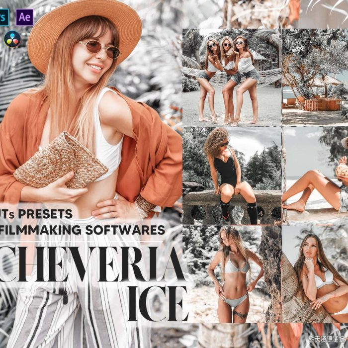 INS主题电影制作人灰绿色LUT预设 12 Echeveria Ice Video LUTs Presets