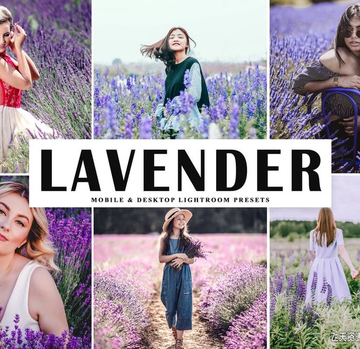 [旅拍LR预设]薰衣草旅拍人像LR预设/移动APP预设Lavender Lightroom Presets