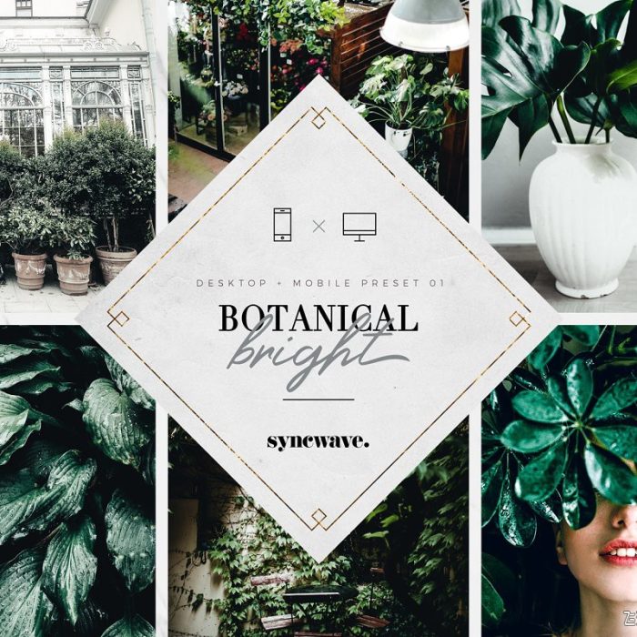 [胶片LR预设]清新植物静物胶片LR预设/移动APP预设 Botanical Lightroom Presets
