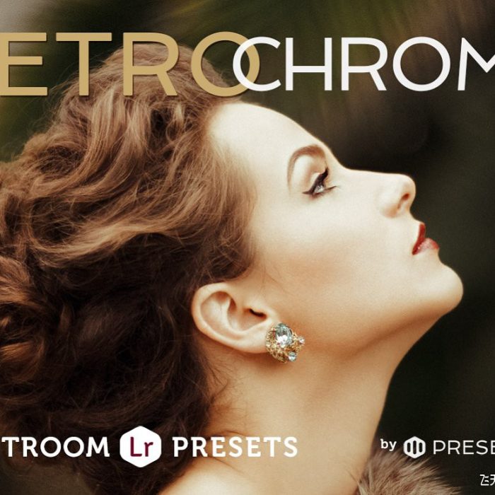 [人像LR预设]电影色彩复古人像Lightroom预设包合集 Retrochrome Lightroom Preset Pack