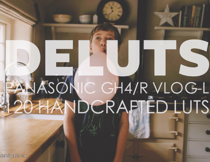 DELUTS-200+松下GH4/R VLOG-L专用电影级调色LUTs预设下载