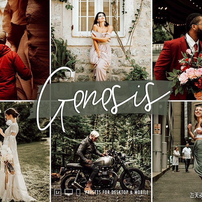 [婚礼LR预设]Signature Edits –旅拍婚礼电影人像LR预设 /手机APP滤镜The Genesis Lightroom Preset