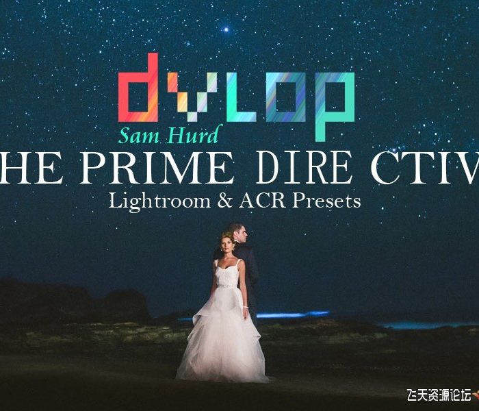 [婚礼LR预设]山姆·赫德 婚礼摄影Lightroom & ACR预设 Dvlop SamHurd THE PRIME DIREC…