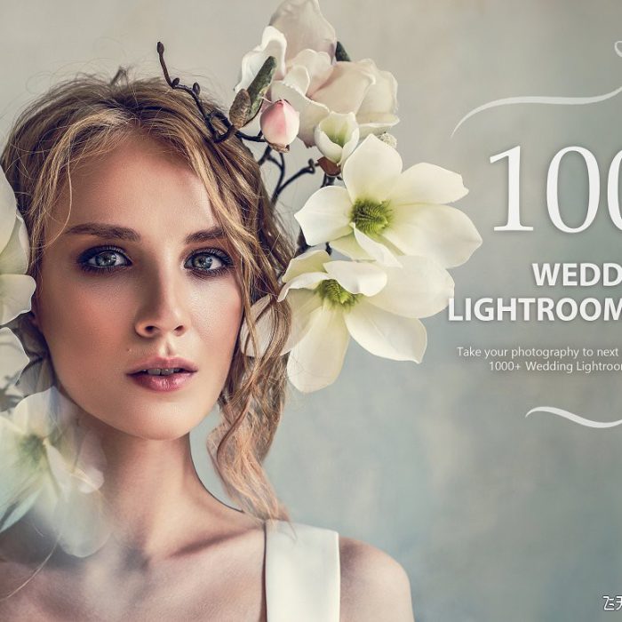 [婚礼LR预设]1000多种婚礼人像Lightroom预设合集 1000+ Wedding Lightroom Presets