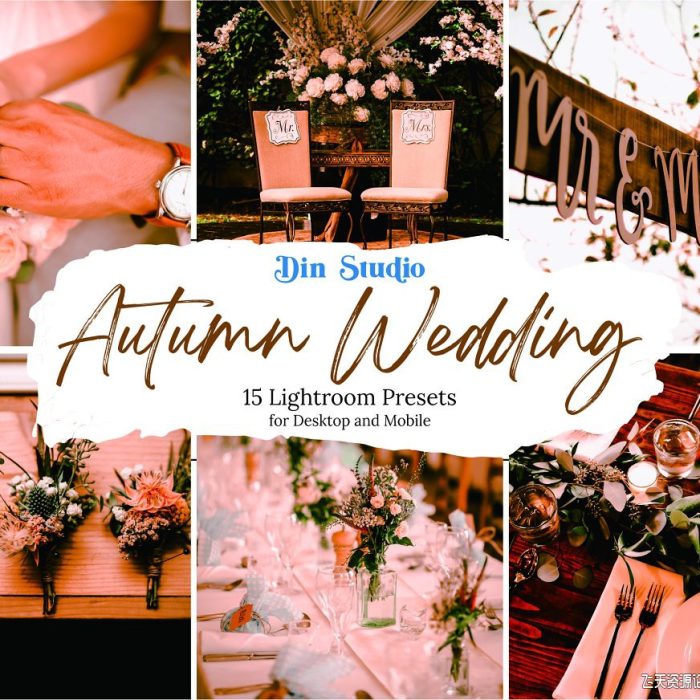 [婚礼LR预设]秋季复古婚礼人像Lightroom预设/APP预设 Autumn Wedding Lightroom Presets