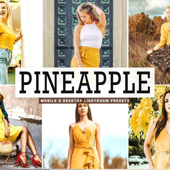 [人像LR预设]温暖明亮淡黄色调LR预设+手机LR预设 Pineapple Lightroom Presets