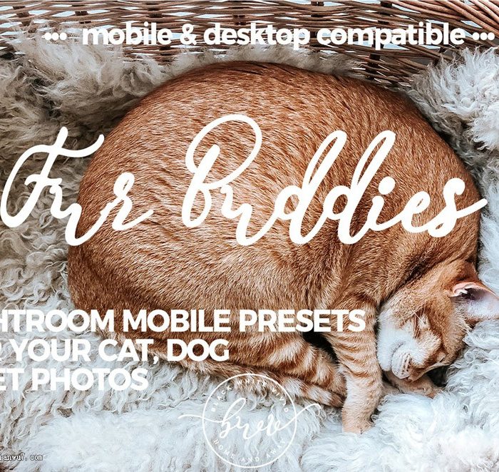 [手机版lr预设]物和动物摄影Lightroom预设+Mobile手机版预设 Pet Presets