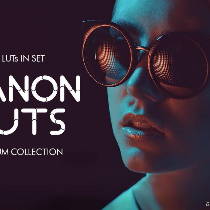 20组佳能Canon视频剪辑分级调色LUT预设下载 Canon video LUTs