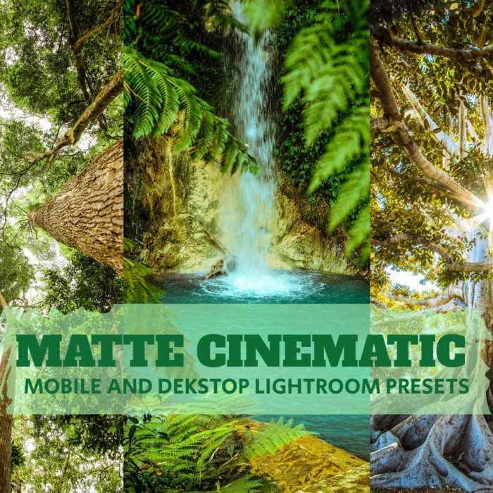 [风光LR预设]电影风光后期调色LR预设 Matte Cinematic Lightroom Dekstop Mobile Presets