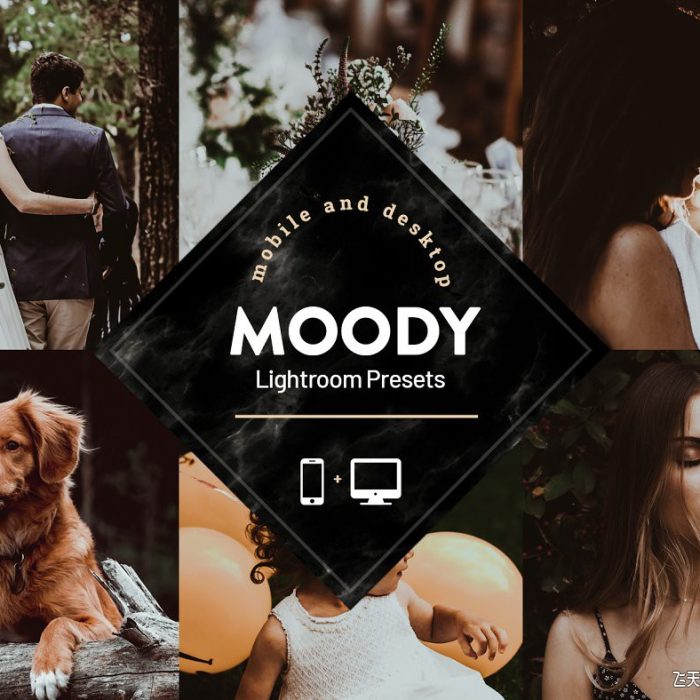 [人像LR预设]喜怒无常电影情绪胶片LR预设/移动APP滤镜 Moody Lightroom Presets