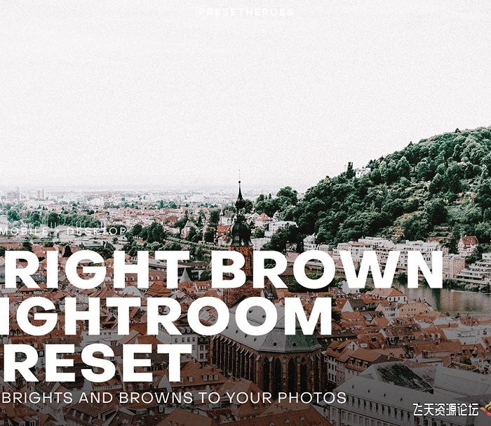 [风光LR预设]旅拍城市风景棕色调Lightroom预设›Bright and Brown Lightroom Preset