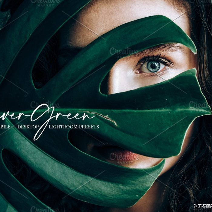 [胶片LR预设]森系柔和电影胶片LR预设/手机LR预设 Evergreen Lightroom Presets