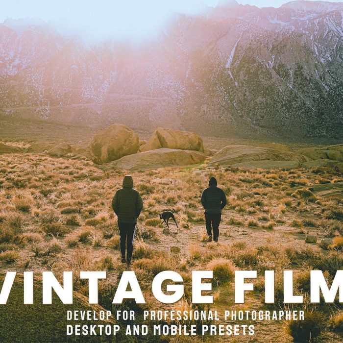 [胶片LR预设]复古电影胶片Lightroom预设 Vintage Film- Lightroom Presets