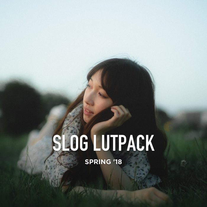 油管大神AUXOUT索尼S-LOG 2 / S-LOG3视频调色LUT预设 SLOG LUT PACK SPRING ’18