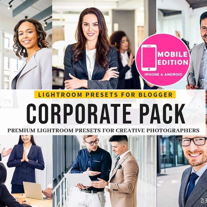 [人像LR预设]企业商务人像摄影后期PS/LR预设/APP预设Corporate Lightroom Presets