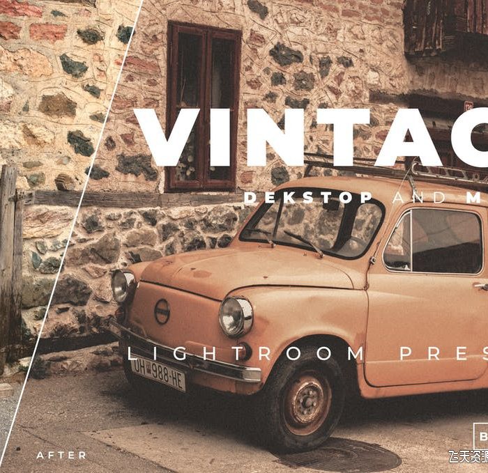 [胶片LR预设]奥斯卡老电影褪色胶片Lightroom预设/移动APP滤镜 Bangset vintage preset