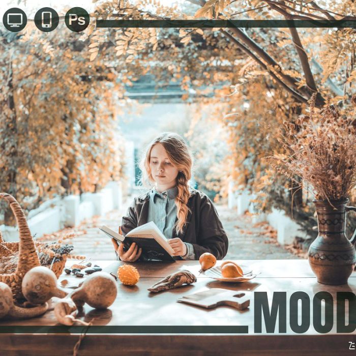 [人像LR预设]INS流行莫兰迪人像预设/LUT预设Epico Media Moody lightroom presets