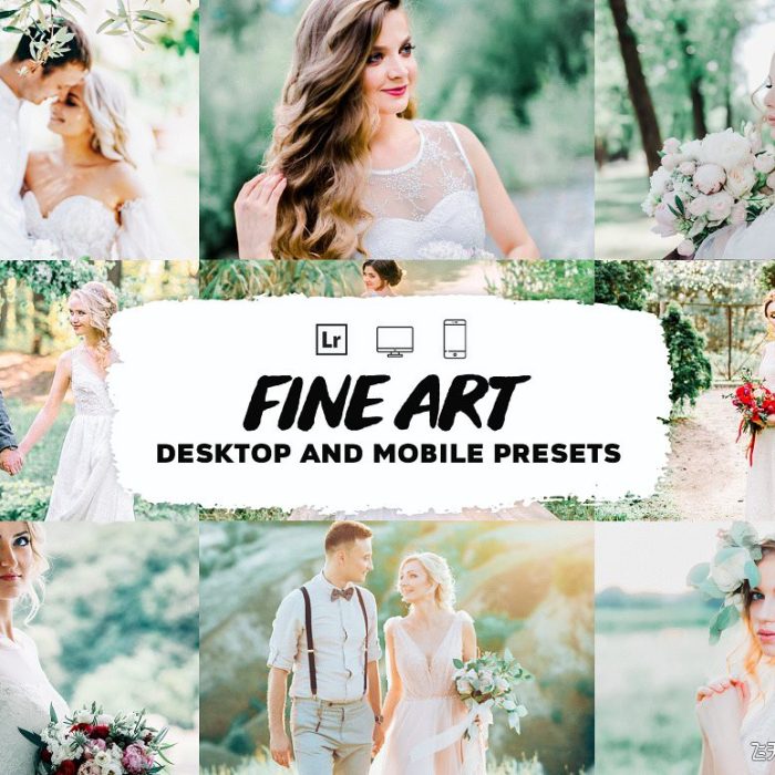 [婚礼LR预设]清新明亮通透电影婚礼Lightroom预设 Fine Art Wedding Lightroom Presets