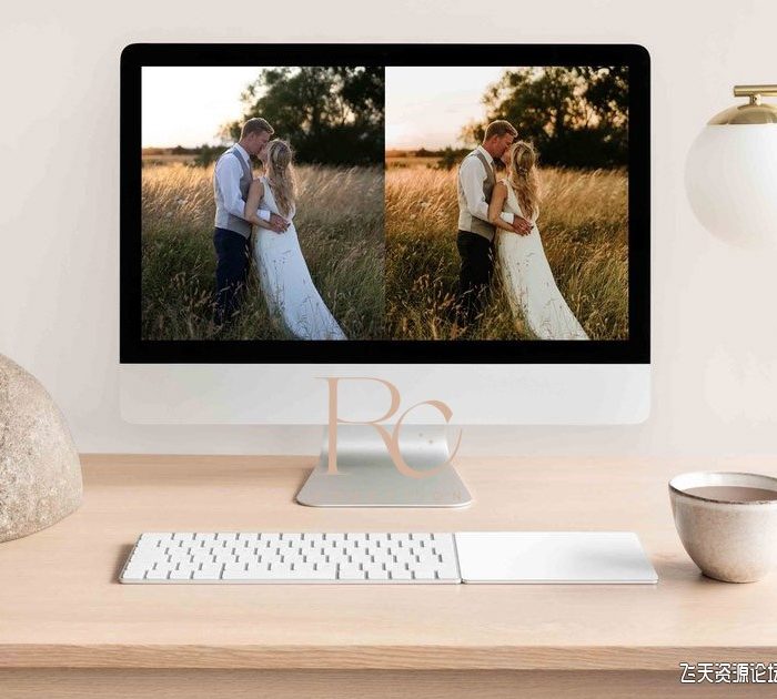 [婚礼LR预设]婚礼摄影师必备高端婚礼人像Lightroom预设 RC Lightroom Preset 附视频教程