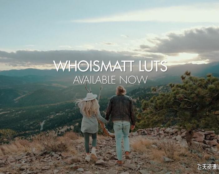 LUT预设 – 索尼 a7s III 和佳能 R5电影婚礼视频后期增强LUT预设 WhoisMatt LUTs