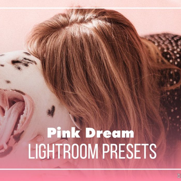 [人像LR预设]insta时尚博客少女粉彩系列LR预设+移动APP预设 Pink Dream Lightroom