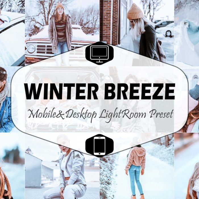 [人像LR预设]冬季通透明亮人像Lightroom预设+移动APP预设 Winter Breeze Lightroom