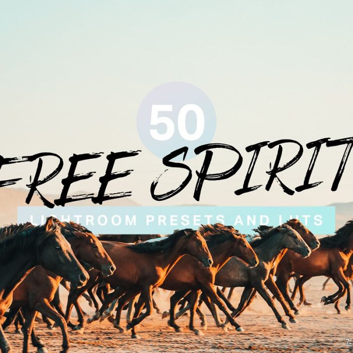 [胶片LR预设]旅拍电影胶片LR预设+视频剪辑LUT预设  Free Spirit Lightroom Presets