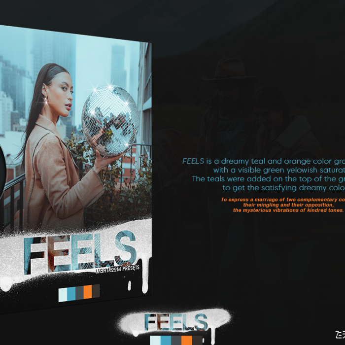[人像LR预设]高端清新灰度电影人像颜色分级Lightroom预设Feels Lightroom Presets