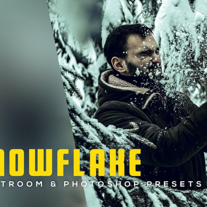 [风光LR预设]冬季电影风光调色Lightroom预设 Snowflake Lightroom Presets