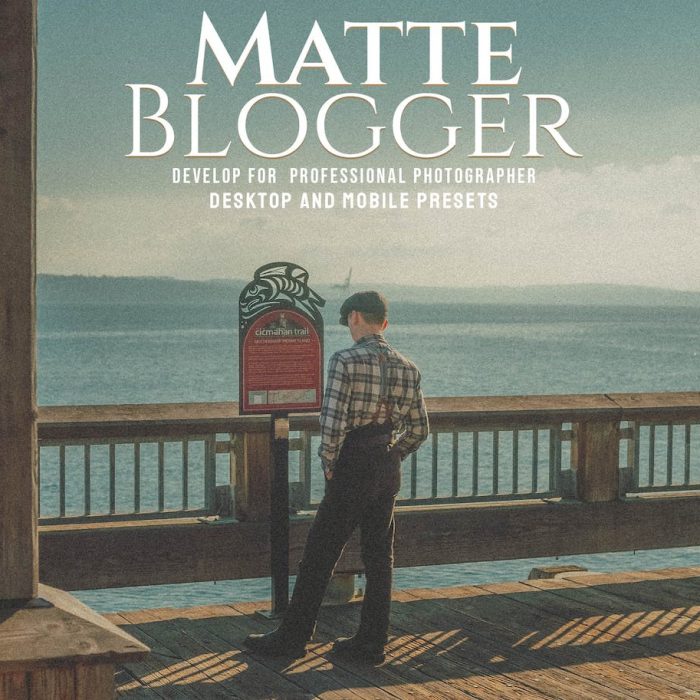 [胶片LR预设]经典复古胶片Lightroom预设 Matte Blogger- Desktop & Lightroom Presets