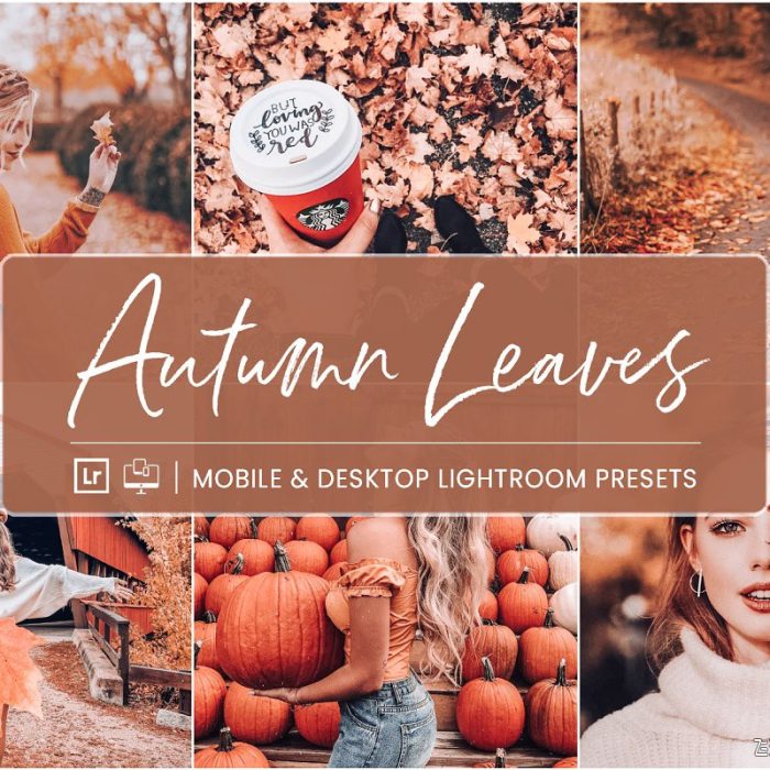 [人像LR预设]完美秋季人像风景LR预设+手机APP预设 Lightroom Presets Autumn Leaves
