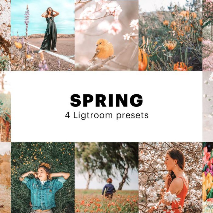 [旅拍LR预设]春暖花开春季旅拍风光人像LR预设+移动APP调色滤镜 4 Spring Lightroom Presets