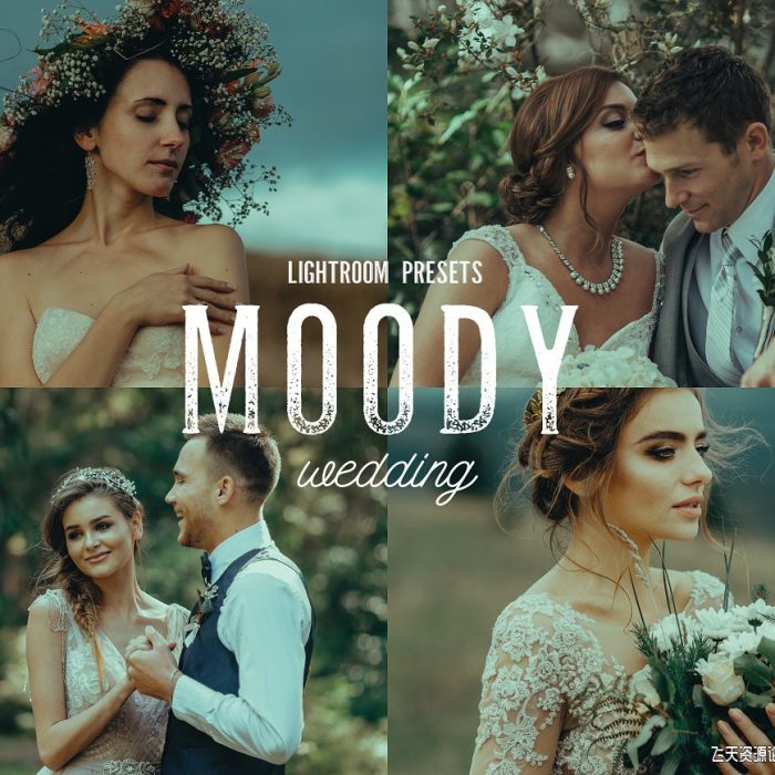 [婚礼LR预设]10个喜怒无常的婚礼人像后期调色Lightroom预设 10 Moody Wedding Lightroom Presets
